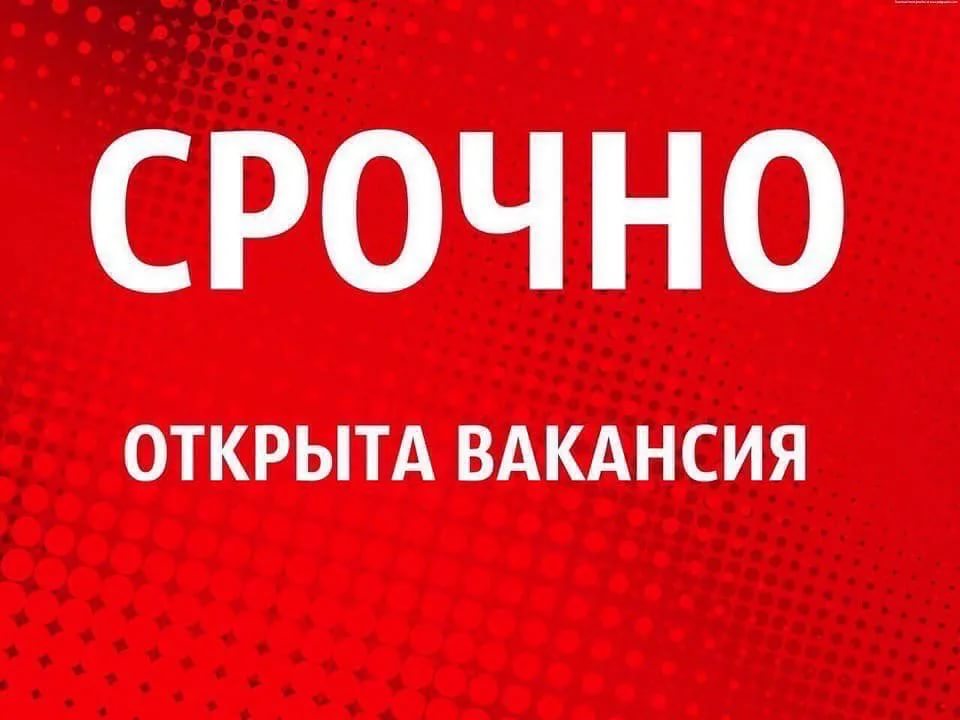 Посетители могли наслаждаться катанием Посетители могли наслаждаться катанием